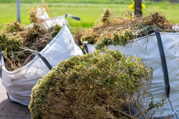 Best Dumpster Rental Services  in Ingram, PA