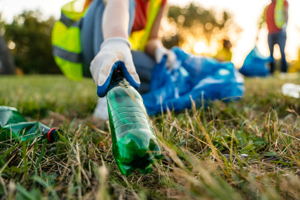 Yard Cleanup Services in Ingram, PA